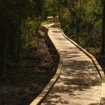 A newly constructed boardwalk on the John Muir segment of the National Ice Age Scenic Trail, near John Muir County Park, Montello, Wisconsin
