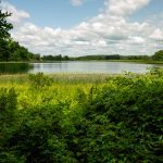 Looking in a northerly direction toward Ennis Lake, boyhood lake of John Muir, at John Muir County Park, Montello, Wisconsin on a late July morning