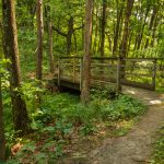 A wooden footbridge over a deep sectio of the trail on the John Muir segment of the National Ice Age Scenic Trail, near John Muir County Park, Montello, Wisconsin
