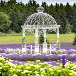 Fragrant Isle